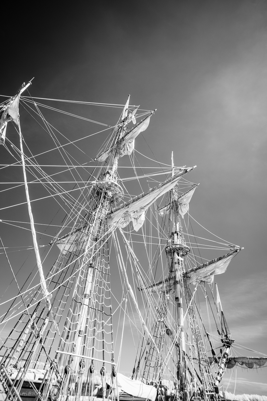 Tall Ships Race 2017